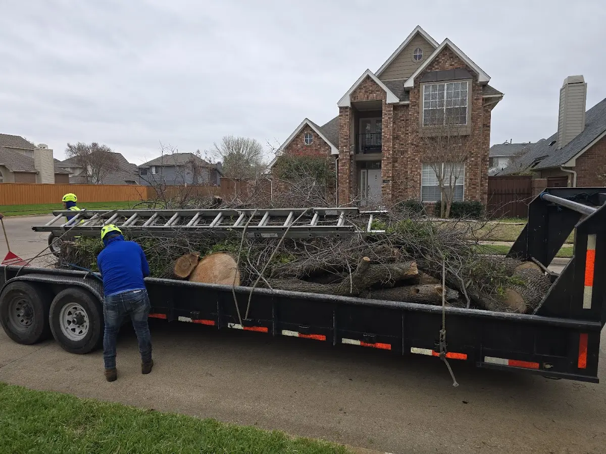 Expert Tree Pest Control with proper safety equipment in Bingham Lake